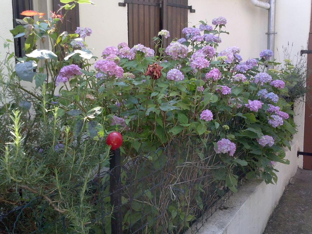Bienvenue Chez Nous Bed & Breakfast Clouange Exterior photo
